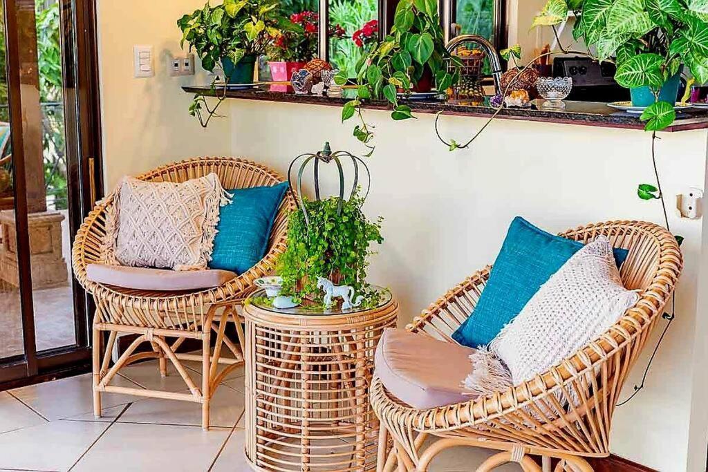 דומיניקל Villa Amor Del Mar With Breathtaking View Of Ocean & Jungle מראה חיצוני תמונה