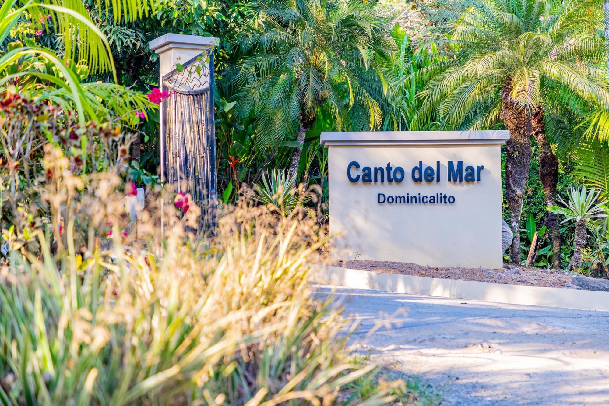 דומיניקל Villa Amor Del Mar With Breathtaking View Of Ocean & Jungle מראה חיצוני תמונה